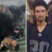 Realiza Fiscalía de Sonora acciones contra la crueldad animal