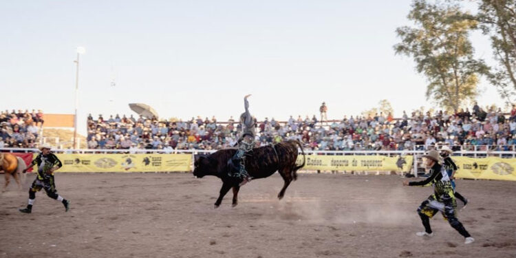 Un gran éxito la segunda fecha del Circuito de Rodeo Tour Sonora 2023 en Banámichi