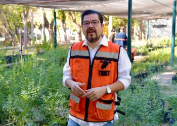 Llaman a hacer de Hermosillo una ciudad más verde, con la campaña “Yo Planto Nativo”