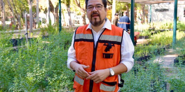 Llaman a hacer de Hermosillo una ciudad más verde, con la campaña “Yo Planto Nativo”