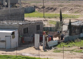 Camiones con suministros médicos, listos para entrar en Gaza: OMS