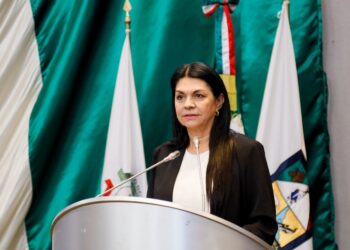 Importante incluir en los planes de estudios de la universidades la materia de Derecho Parlamentario: Ernestina Castro