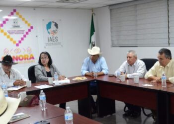 Negativo a influenza aviar H1N5 resultan las Granjas avícolas colindantes al brote en Cajeme