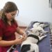 Buena respuesta obtiene jornada de esterilización canina y felina