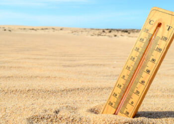 OMM prevé que El Niño continúe hasta abril, y teme que 2024 sea aún más cálido que 2023