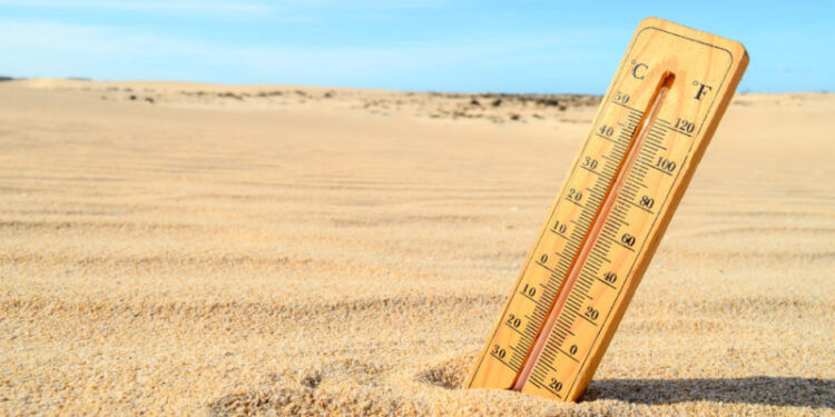 OMM prevé que El Niño continúe hasta abril, y teme que 2024 sea aún más cálido que 2023