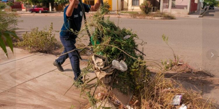 *Trabaja programas preventivos en rescate de espacios públicos en la posada del sol*