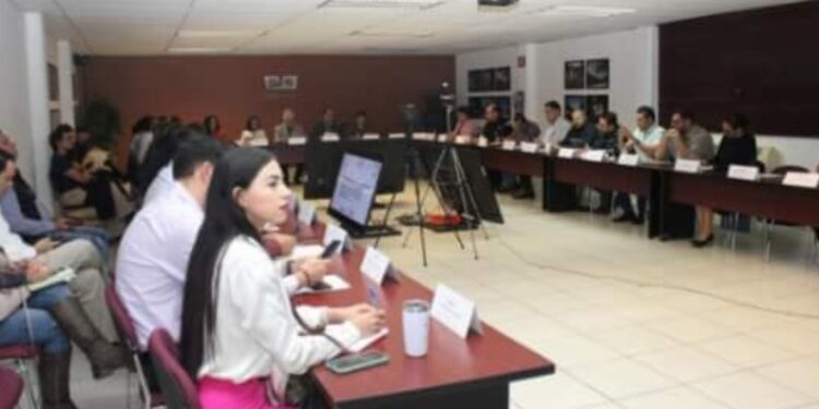 Por primera vez Sonora contará con un protocolo homologado para erradicar el hostigamiento y acoso sexual escolar.