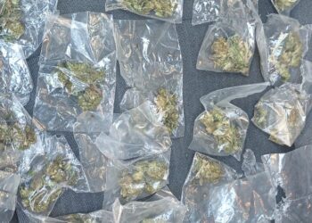 Captura División Salva de la Policía Estatal a hombre por violencia familiar Durante el auxilio a la víctima, los oficiales incautaron un bat con el que amenazaba, además de sustancias similar al narcótico.