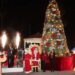 Espectacular encendido del ÁRBOL NAVIDEÑO!!