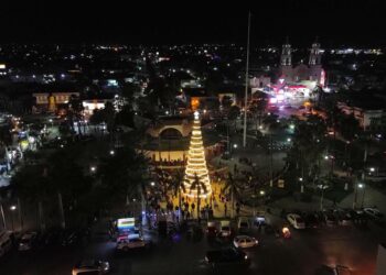 Inunda la  Magia de la Navidad con encendido de MEGA ÁRBOL