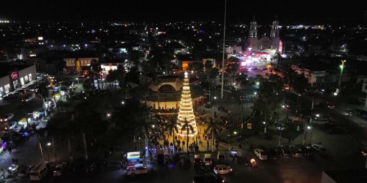 Inunda la  Magia de la Navidad con encendido de MEGA ÁRBOL