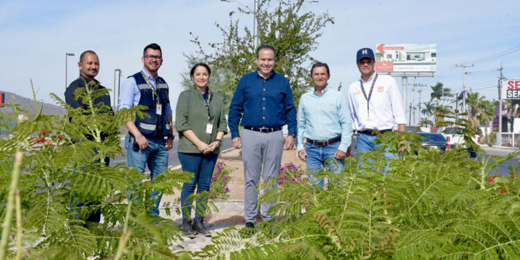 Supervisa Toño Astiazarán remozamiento del camellón del bulevar Mazón López