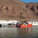 Sardineros continúan con buena pesca en esta temporada