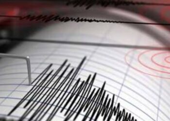 Sismo hoy en Colima; asusta a visitantes en Manzanillo