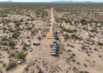 Oficiales de la PESP cierran operativos de noviembre con 339 personas detenidas