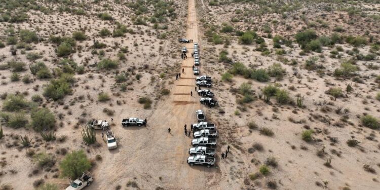 Oficiales de la PESP cierran operativos de noviembre con 339 personas detenidas