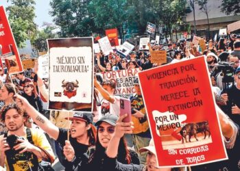 Protestas y enfrentamiento en la reapertura de Plaza México