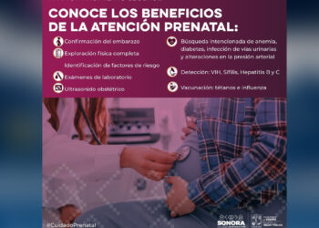 Salud Sonora ofrece atención prenatal gratuita
