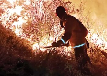 Fuego arrasa el suelo colombiano; asola la capital