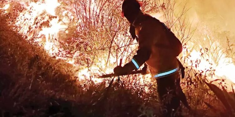 Fuego arrasa el suelo colombiano; asola la capital