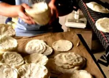Menor cosecha de maíz puede impactar el precio de la tortilla