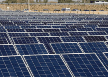 Segunda fase de planta solar en Puerto Peñasco al 67% de construcción: CFE