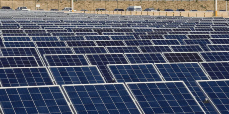 Segunda fase de planta solar en Puerto Peñasco al 67% de construcción: CFE