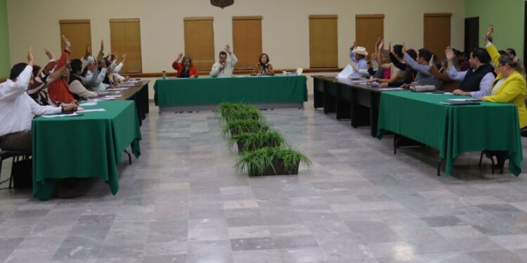 Rendirá sindicatura informe trimestral sobre bajas del patrimonio público municipal