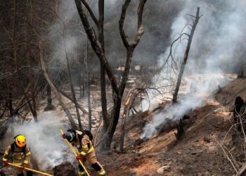 México envía a Chile aviones del Ejército con 20 toneladas de víveres ante los incendios