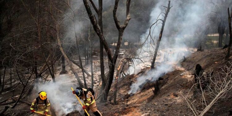 México envía a Chile aviones del Ejército con 20 toneladas de víveres ante los incendios