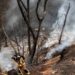 México envía a Chile aviones del Ejército con 20 toneladas de víveres ante los incendios