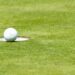 Declaran Área Natural Protegida al campo de golf que opera Grupo Salinas