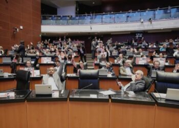 Senado aprueba que la CNDH supervise estaciones migratorias