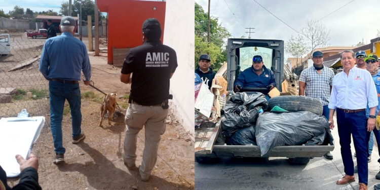 Lleva Ayuntamiento jornada de descacharre a Villa de Seris