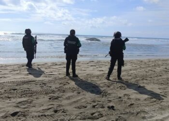 Ballena jorobada aparece muerta en playas de Acapulco