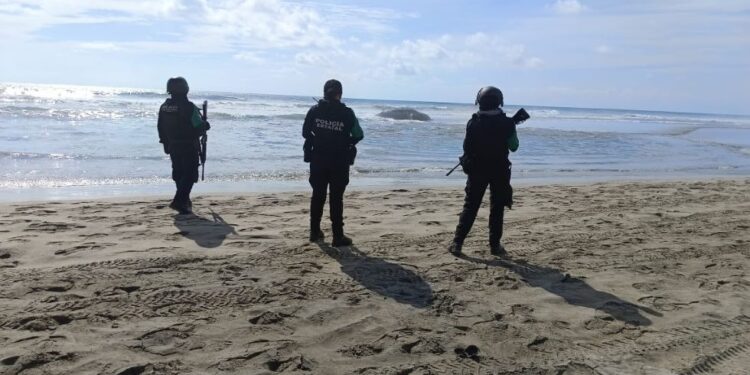 Ballena jorobada aparece muerta en playas de Acapulco