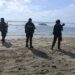 Ballena jorobada aparece muerta en playas de Acapulco