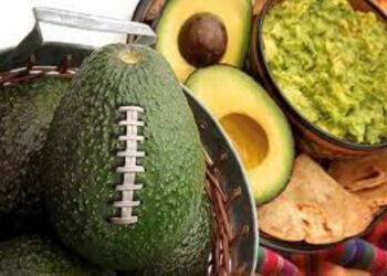 Jalisco exportará 15 mil 227 toneladas de aguacate para el Super Bowl