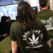 Alemania legaliza el consumo recreativo de la mariguana