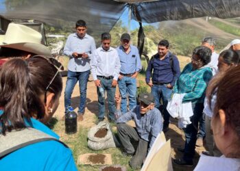 Programa de extensionismo de la Sagarhpa forma cooperativas en zonas marginadas de Sonora