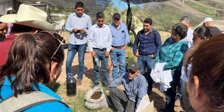 Programa de extensionismo de la Sagarhpa forma cooperativas en zonas marginadas de Sonora