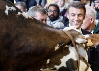 VIDEO: Entre peleas, insultos y policías, Macron inaugura salón de la agricultura en París