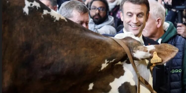 VIDEO: Entre peleas, insultos y policías, Macron inaugura salón de la agricultura en París