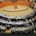 A la pelea por el Senado; plazo para registro vence el jueves