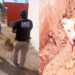 Rescatan agentes AMIC a “Bayron” por maltrato o crueldad animal