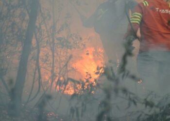 Reporta Conafor 126 incendios forestales activos