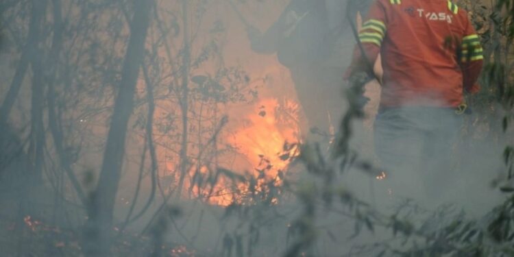Reporta Conafor 126 incendios forestales activos