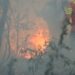 Reporta Conafor 126 incendios forestales activos