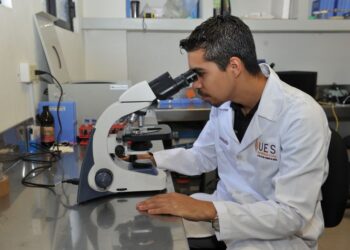 Tiene la UES posgrados con la industria y los sectores productivos de la región
